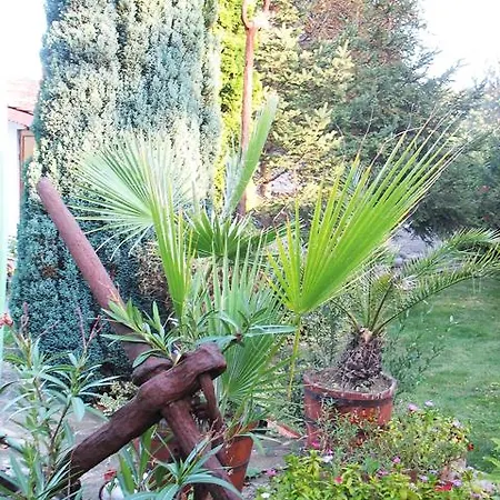 בית הארחה Guest House Starata Kotva ביאלה